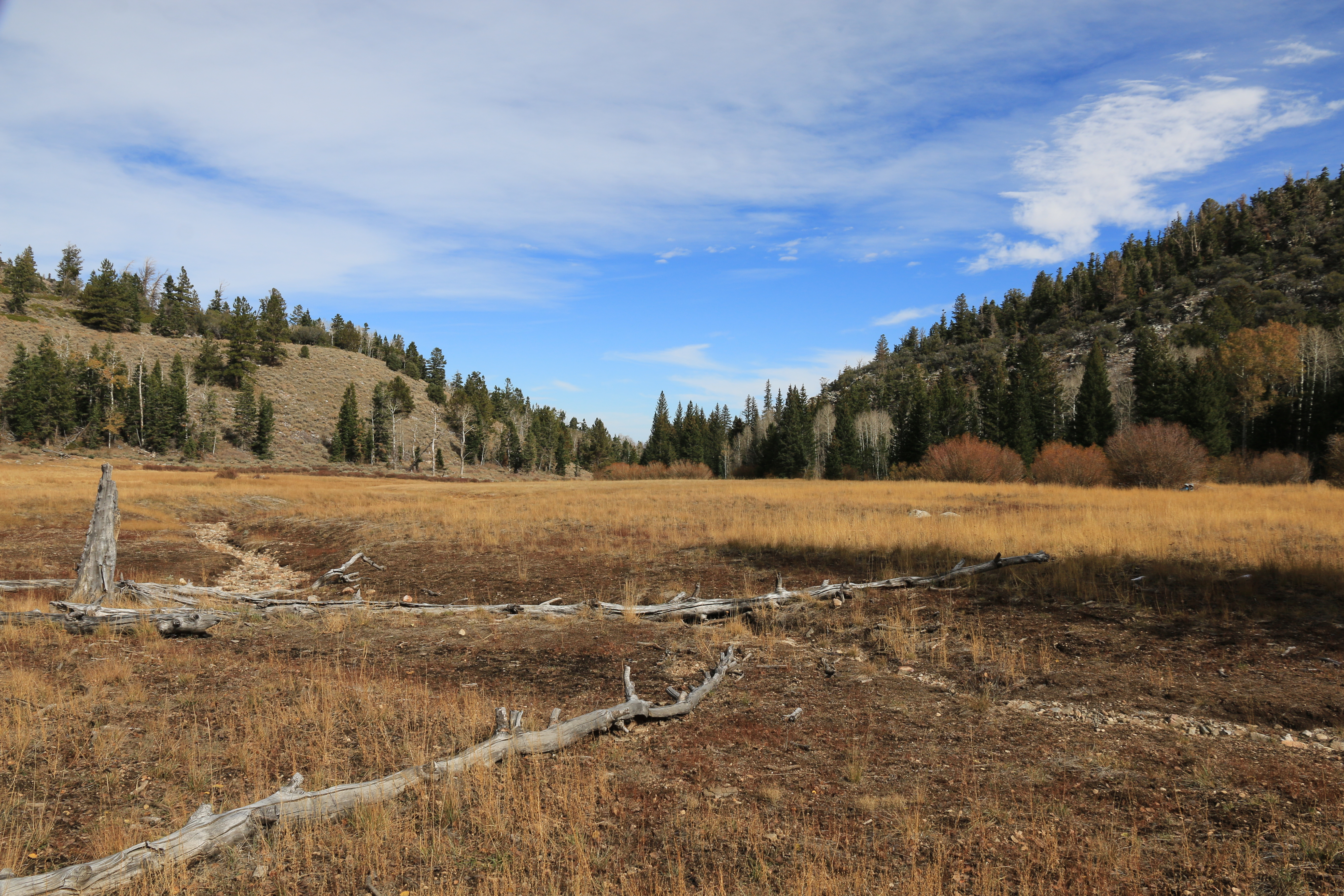 Great Basin NP